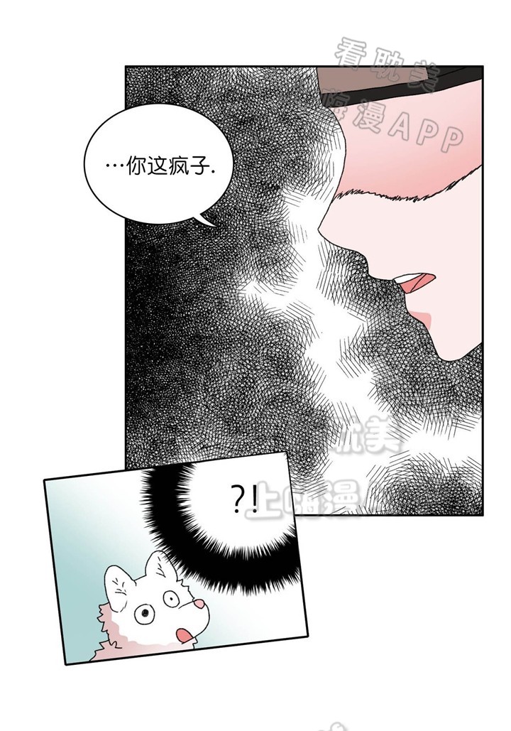 狼神与公子txt漫画,第29话5图