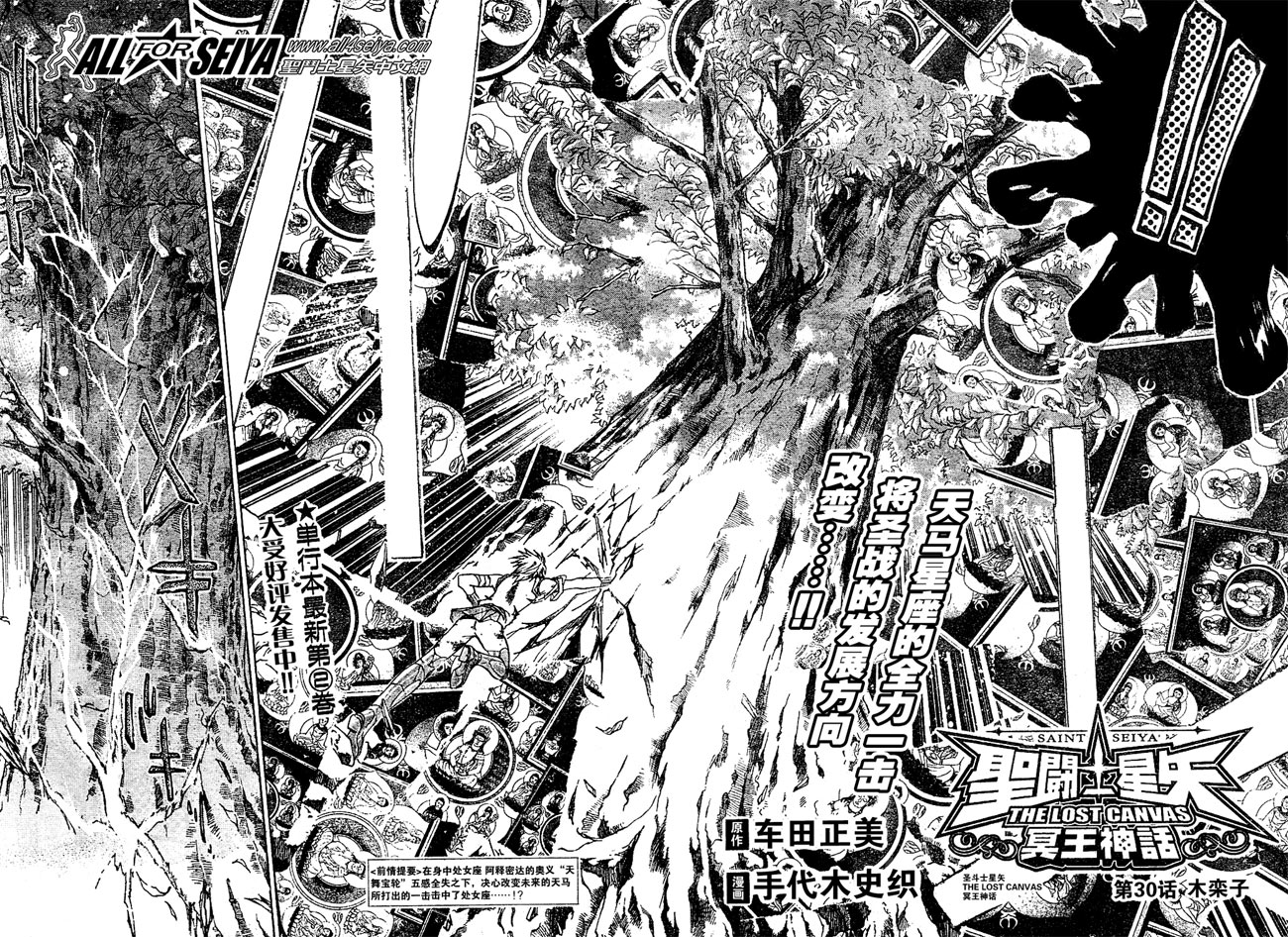 圣斗士星矢冥王神话在线播放漫画,第30话3图