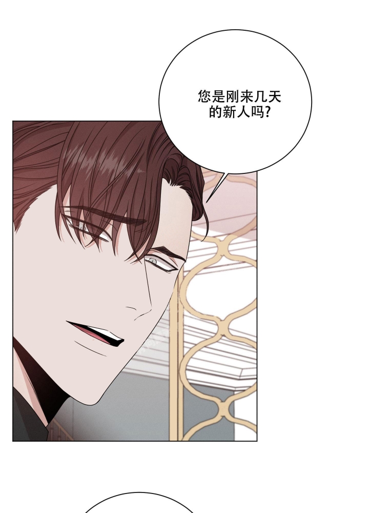 危险关系讲的是什么故事漫画,第12话5图