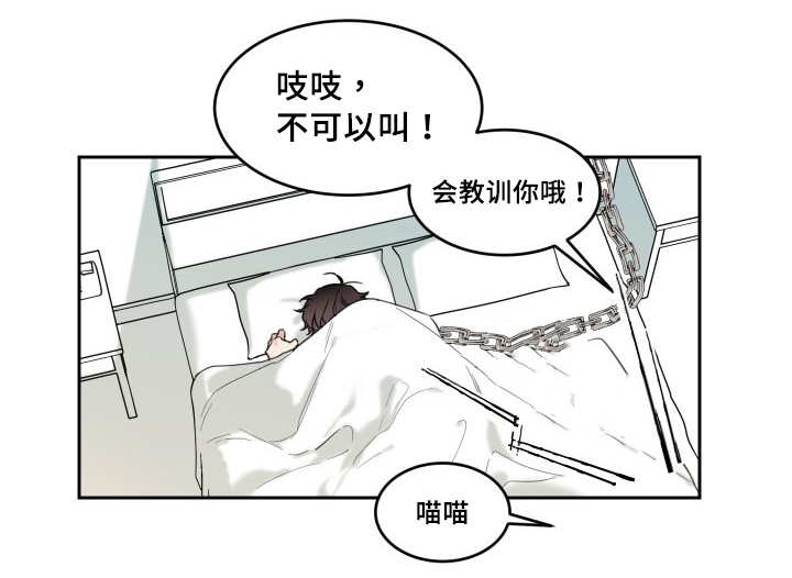 第26章：生气了吗4