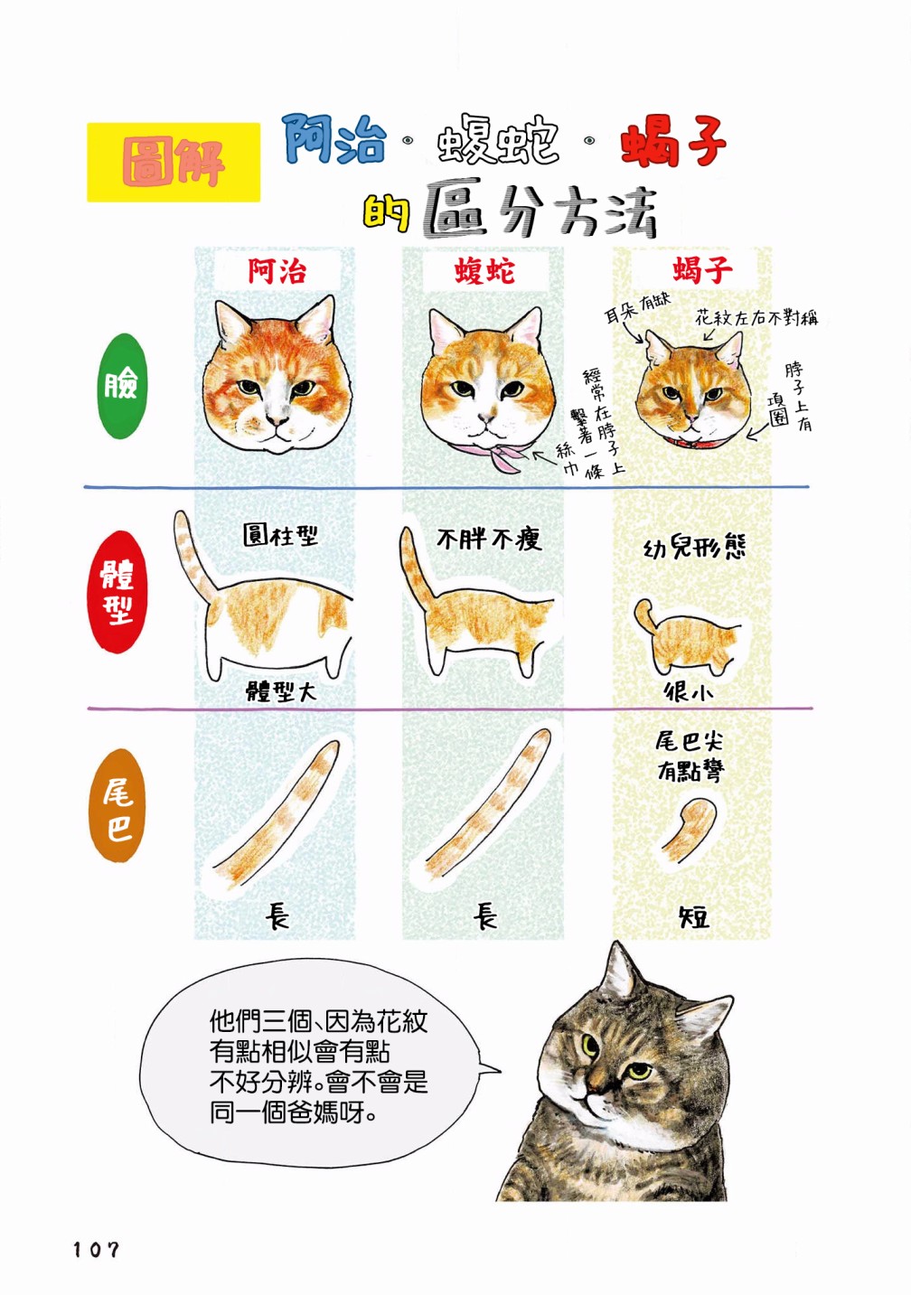 第118话3