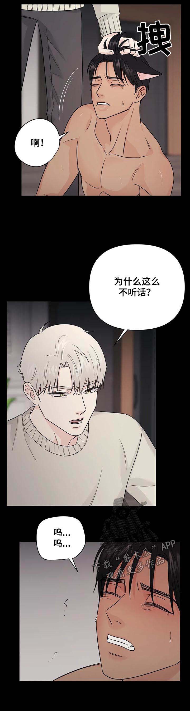 爱我的喵上司免费漫画,第48章：【第二季】过去4图