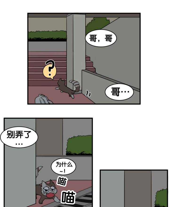 空巢什么漫画,第9话1图