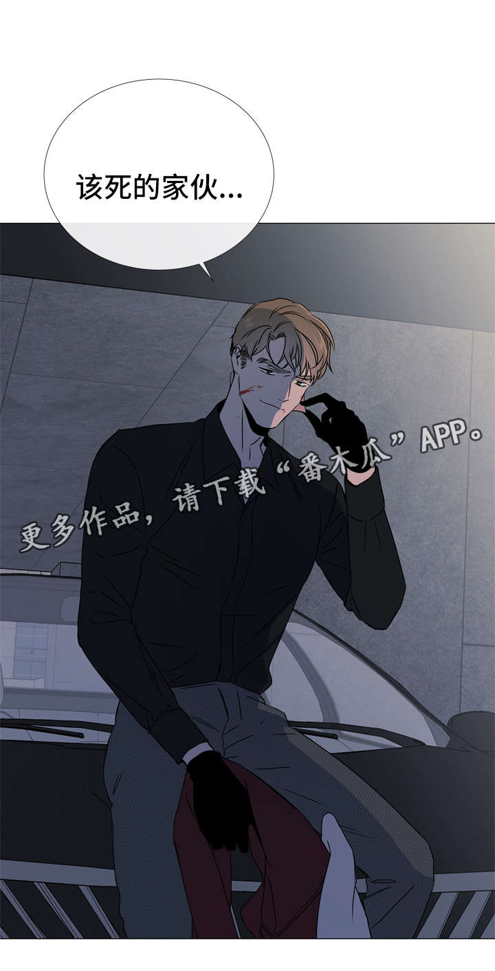 第46章：鉴赏诗集4