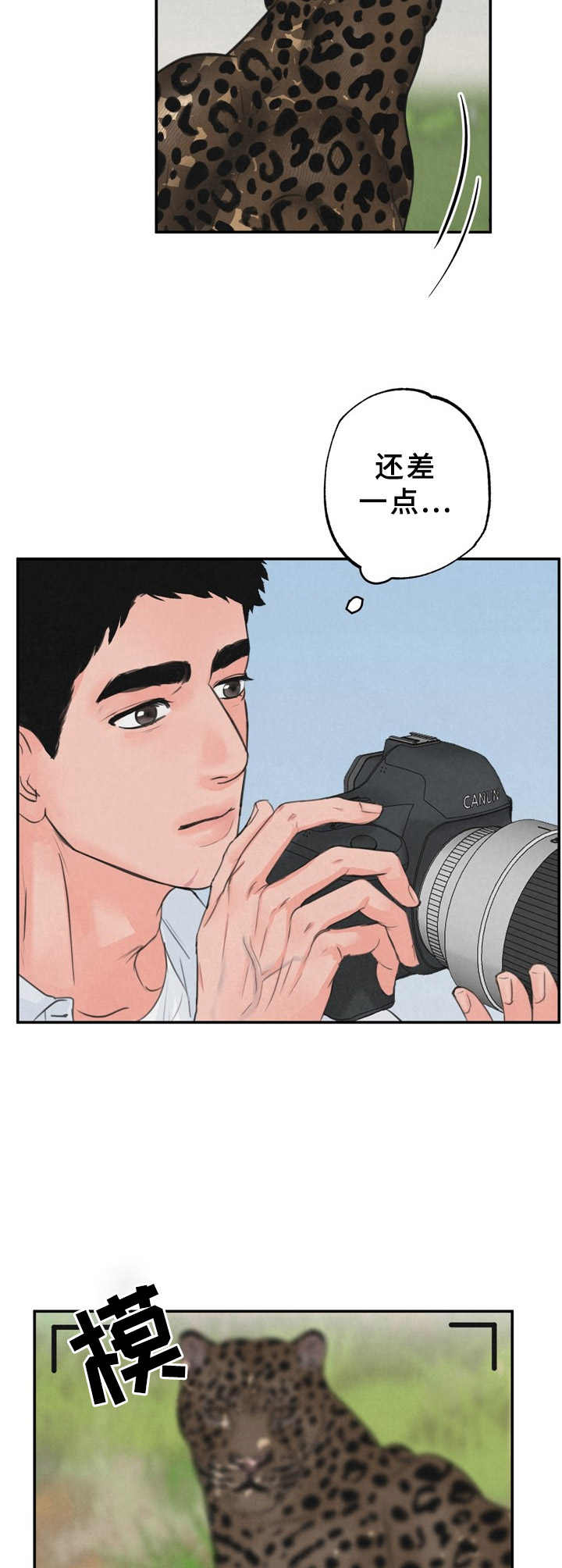 野性之皮漫画,第1章：摄影师2图