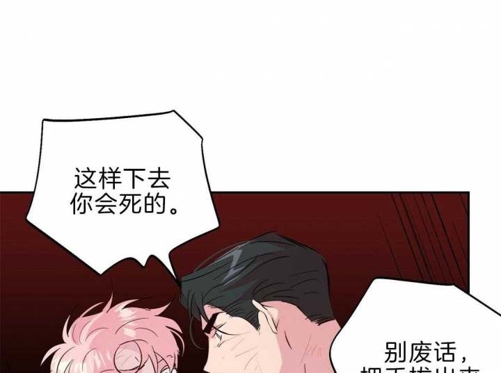 疯子与疯子漫画在线看漫画,第116话4图