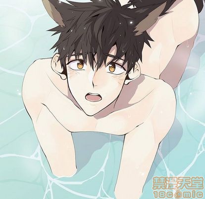 野性之城免费漫画在线看漫画,第27章5图