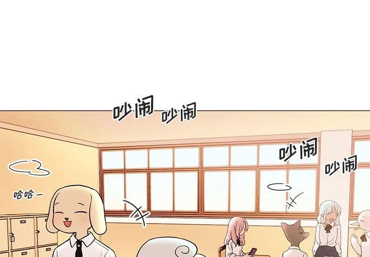 努娜的魔法商店为什么看不了漫画,904图