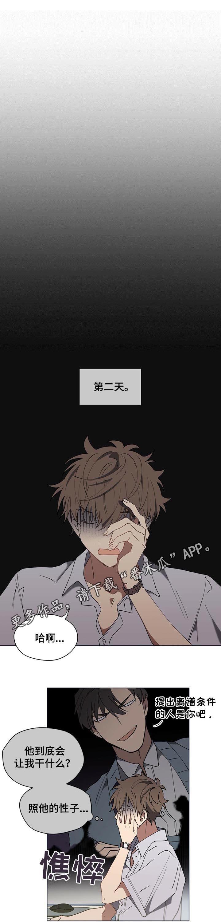 第34章：那件事是真的吗0