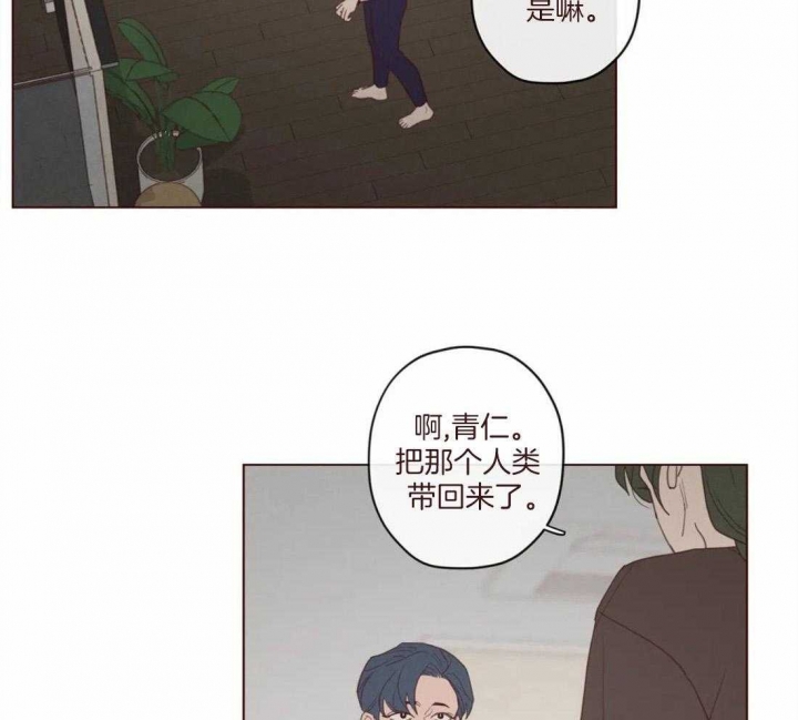 鬼怪骨病漫画,第120话4图