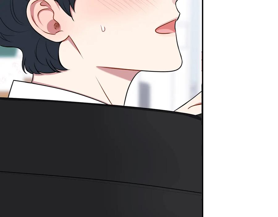 冬天之后的樱花第四季资源漫画,第四季完结篇 感谢你在身边4图