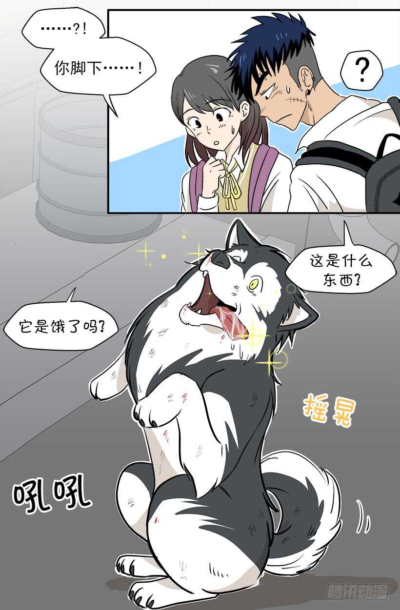 贵重的礼物2