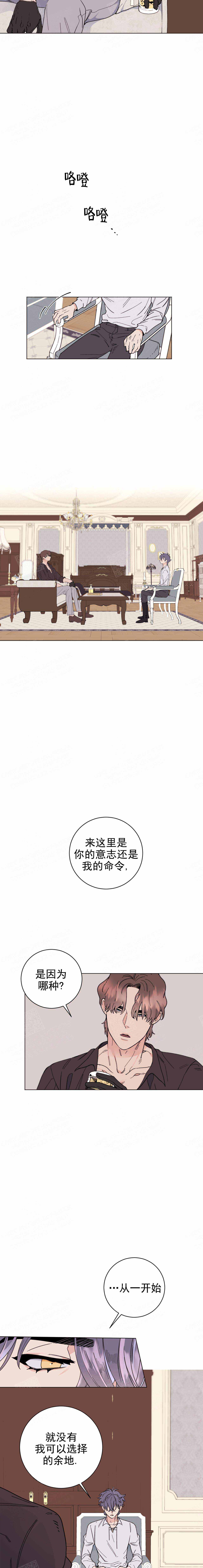宠爱主人的故事漫画,第11话2图