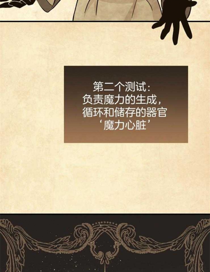 满级法师重回新手村漫画的原著漫画,第4话5图