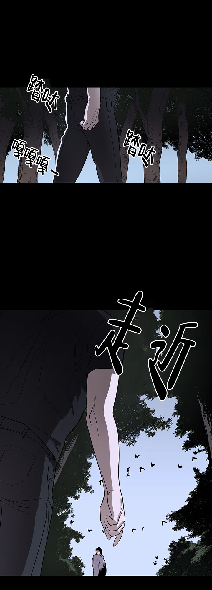 不飞的鸟类有哪些漫画,第1话4图