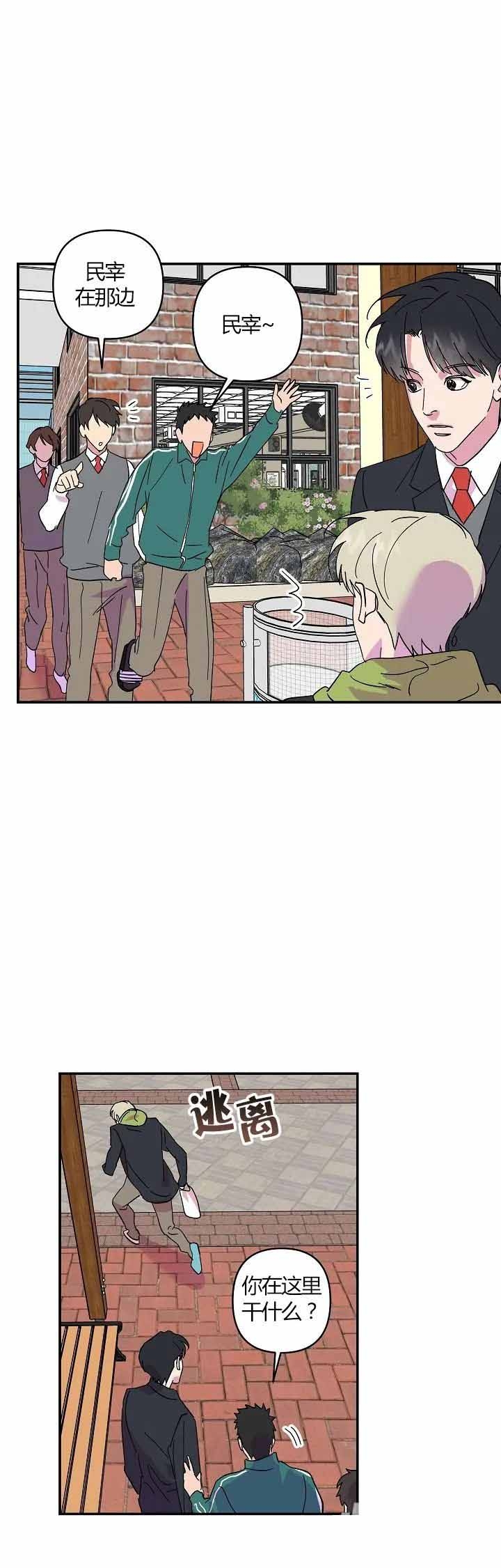 订婚对象是花美男免费阅读漫画,第31话5图