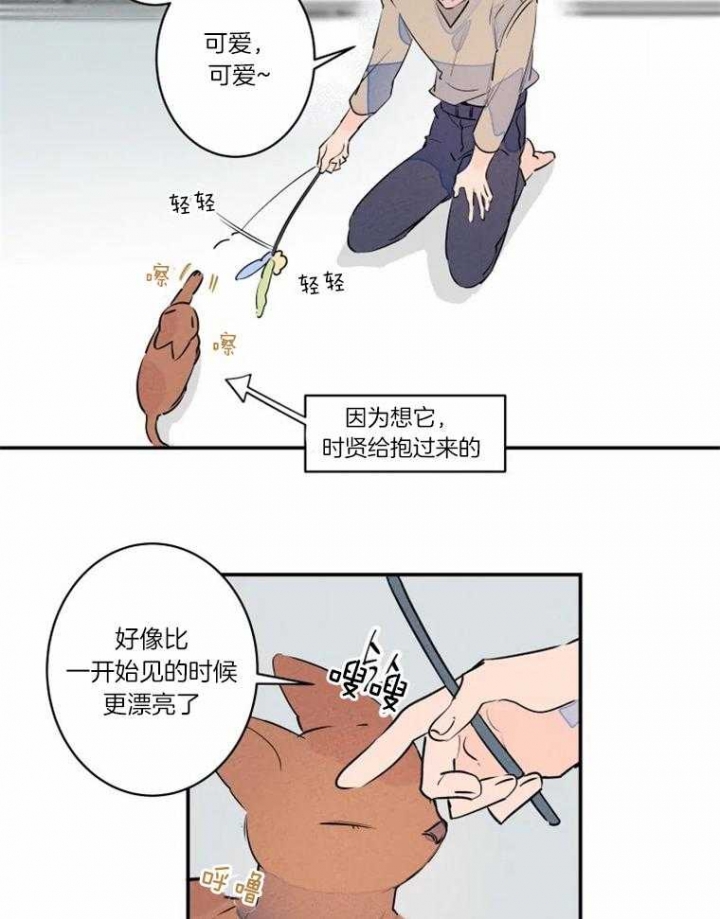 结婚可以和生日同一个月吗漫画,第30话3图