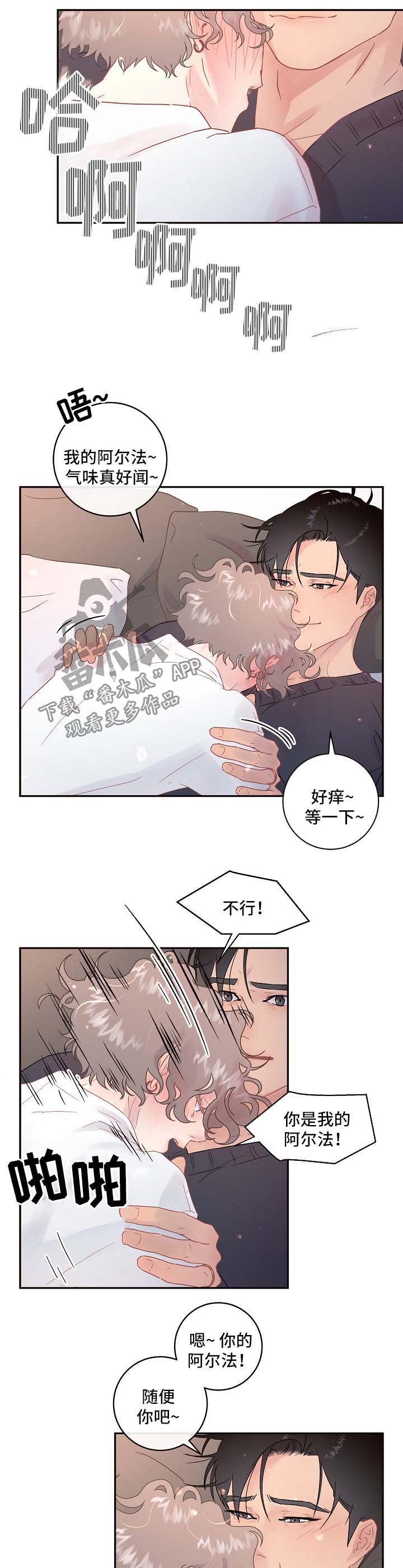 绳编包包教程视频漫画,第75章：【第三季】我的阿尔法2图