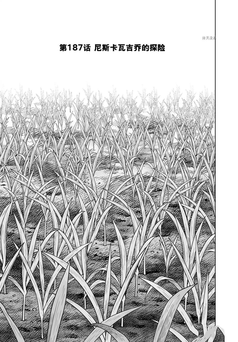 海盗战记全26卷完结了吗漫画,第187话 尼斯卡瓦吉乔的探险1图