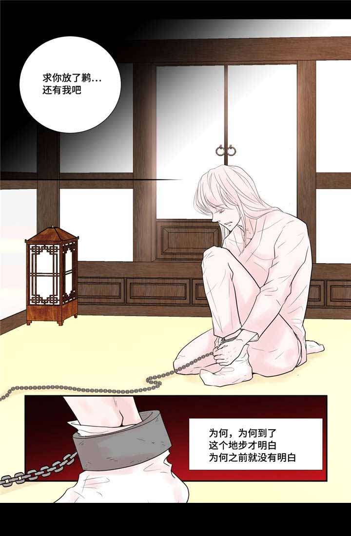 人形图查房模板漫画,第39话4图