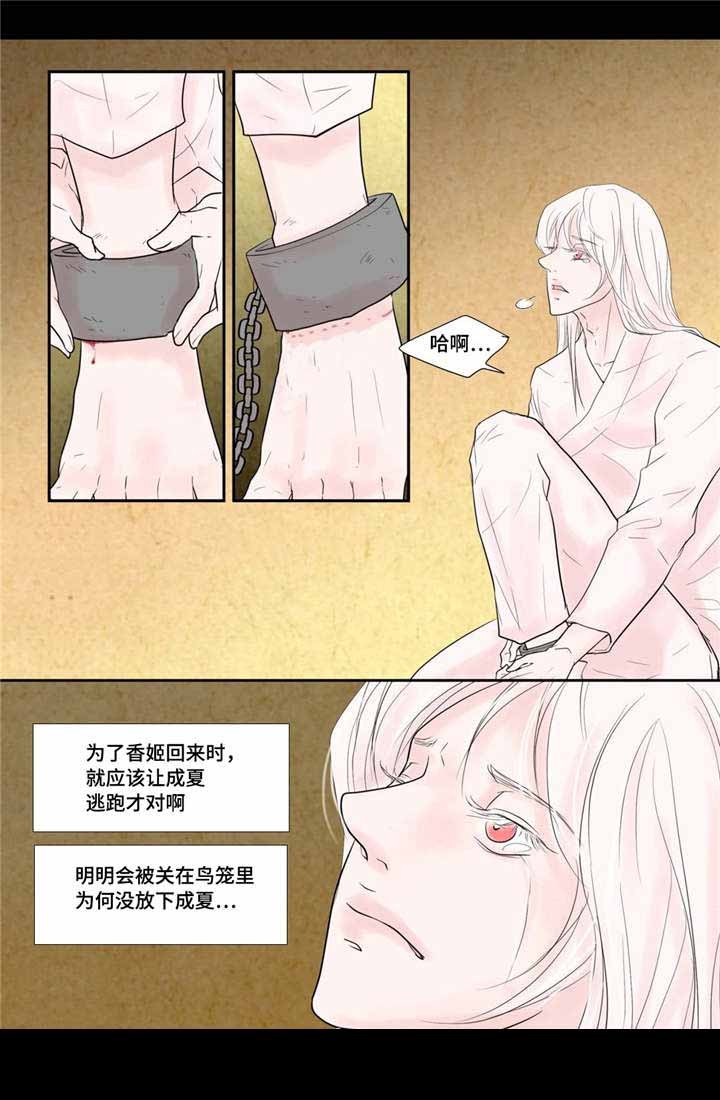 人形图查房模板漫画,第39话5图
