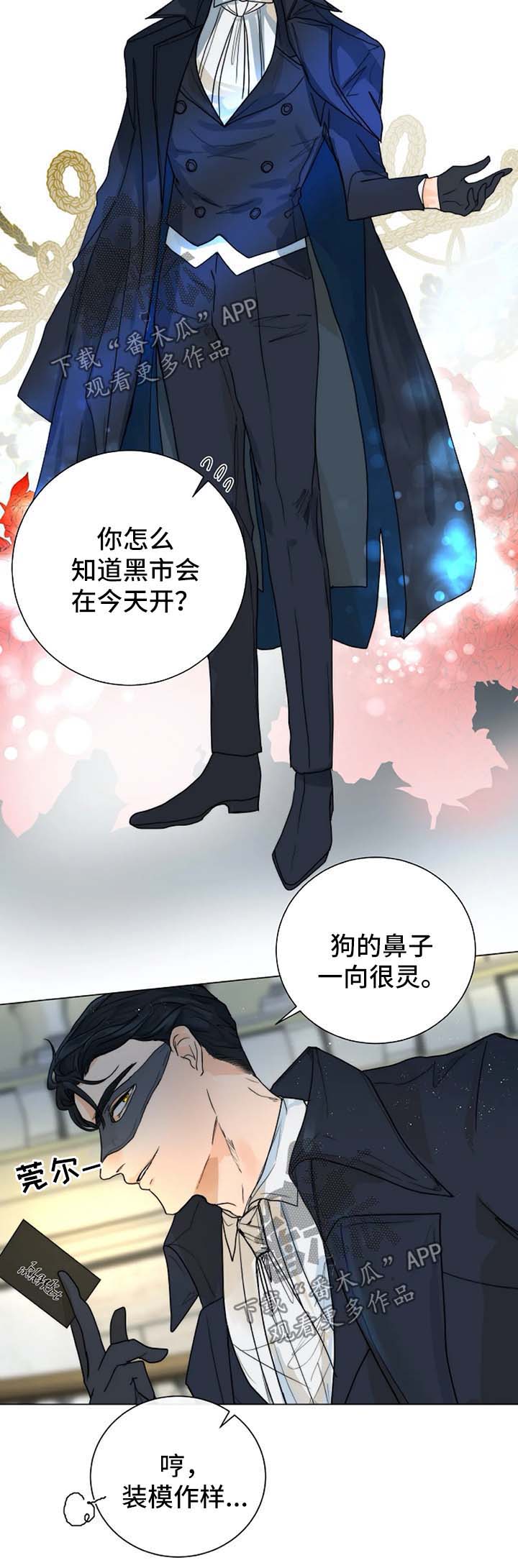 目标受众群体漫画,第34章：进入黑市2图