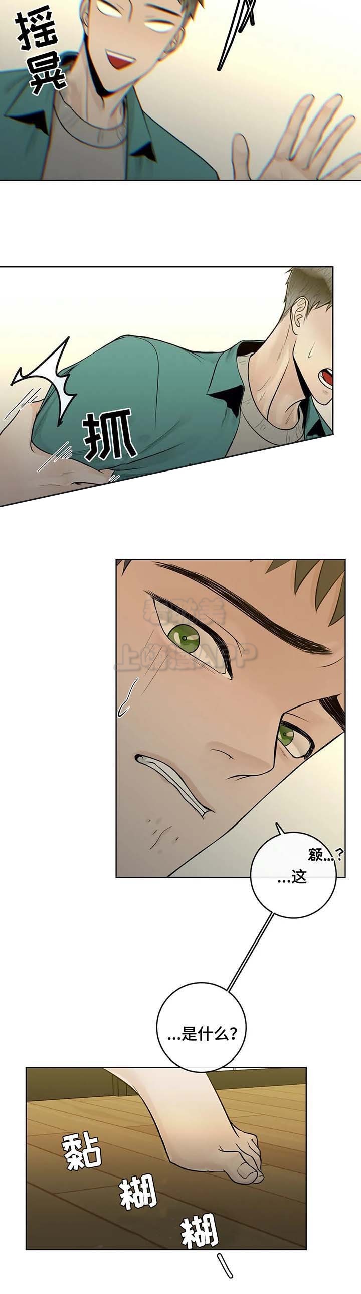 阿尔法伴侣结局漫画,第51话4图