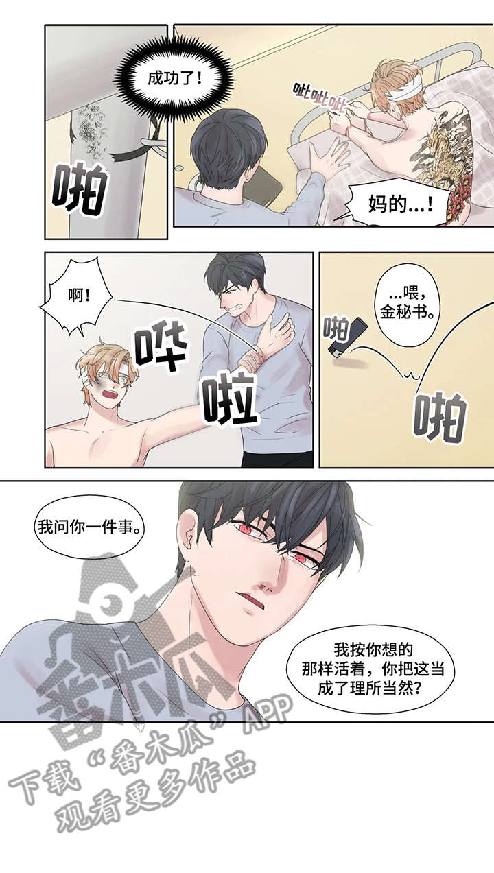 月光独照小说全文阅读漫画,第50章：他不在1图