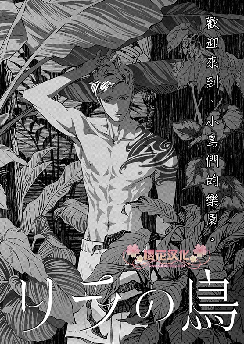 香格里拉的鸟是什么鸟漫画,第1话5图