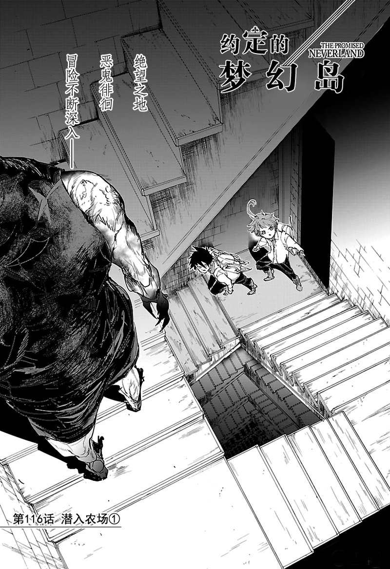 约定的梦幻岛第二季免费观看全集漫画,第116话试看版1图