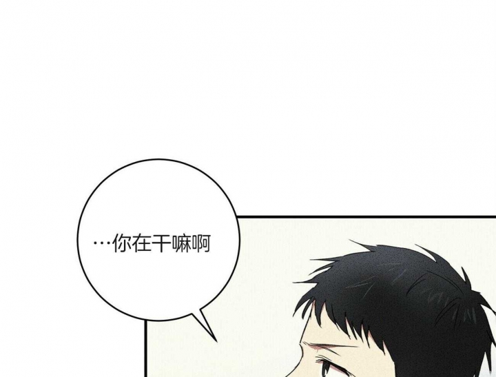 文学少年主要事迹怎么写漫画,第14话3图