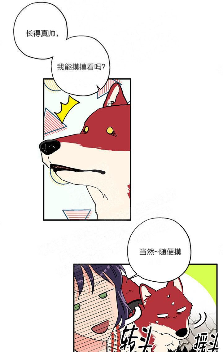 引狼入室案漫画,第3话5图