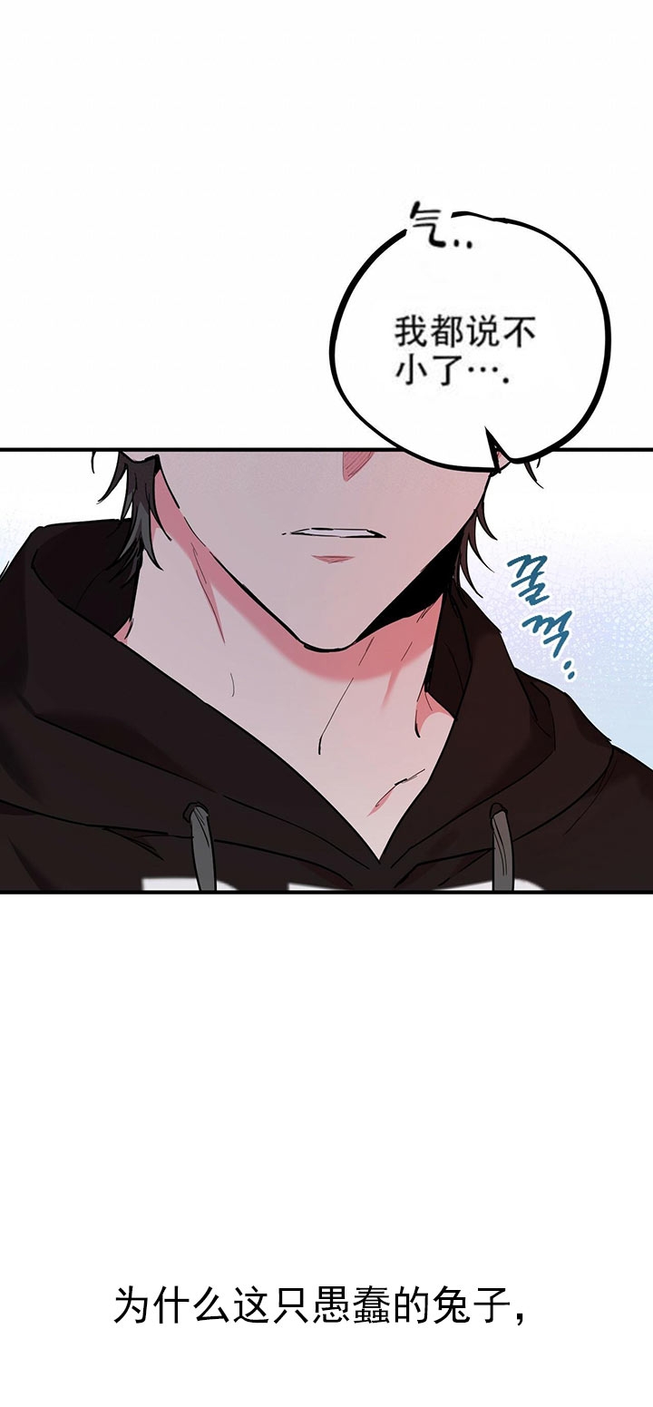  夏菲菲的兔子漫画,第14话2图