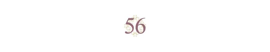第56话 一起相亲2