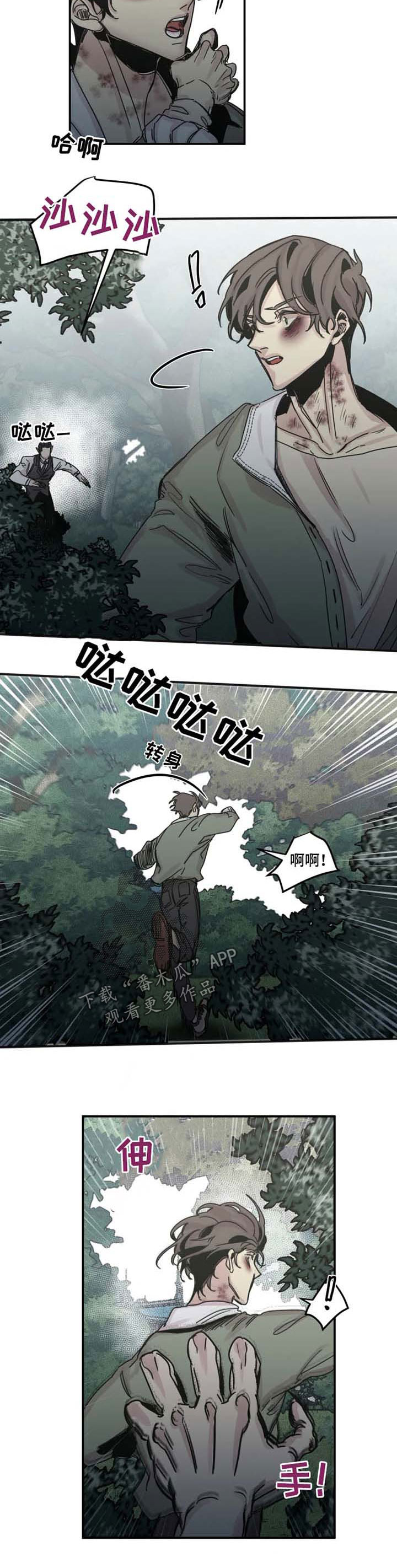 第37章：追杀1