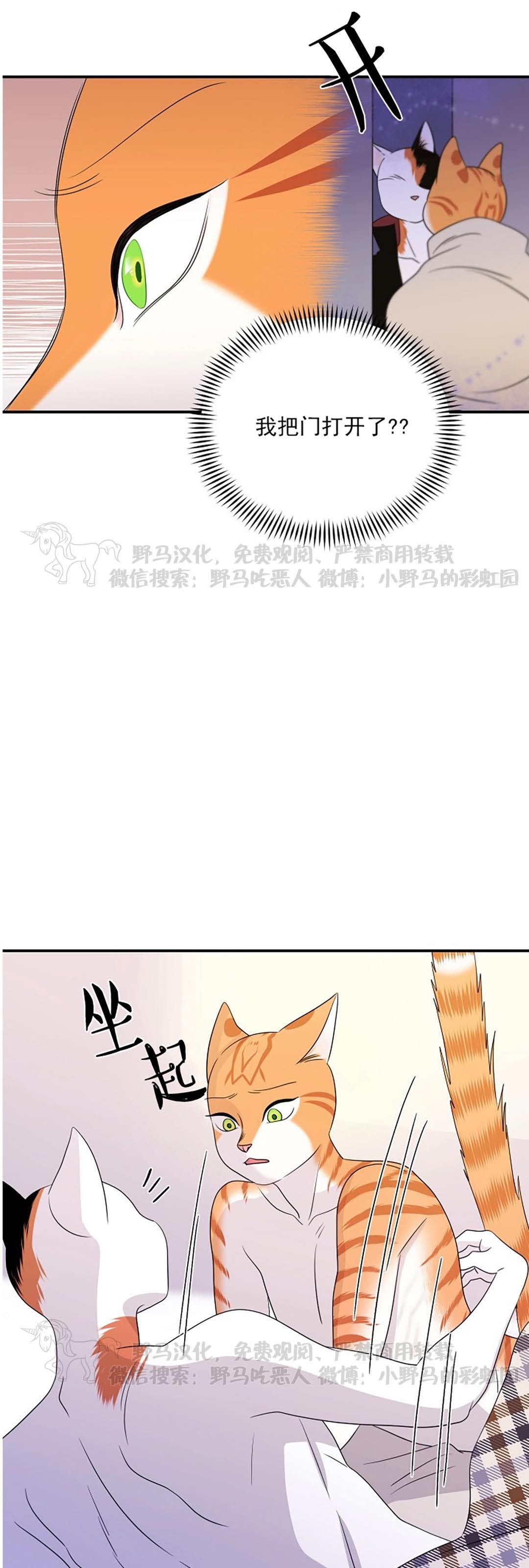 蓝色计划在漫蛙叫什么漫画,第04话1图
