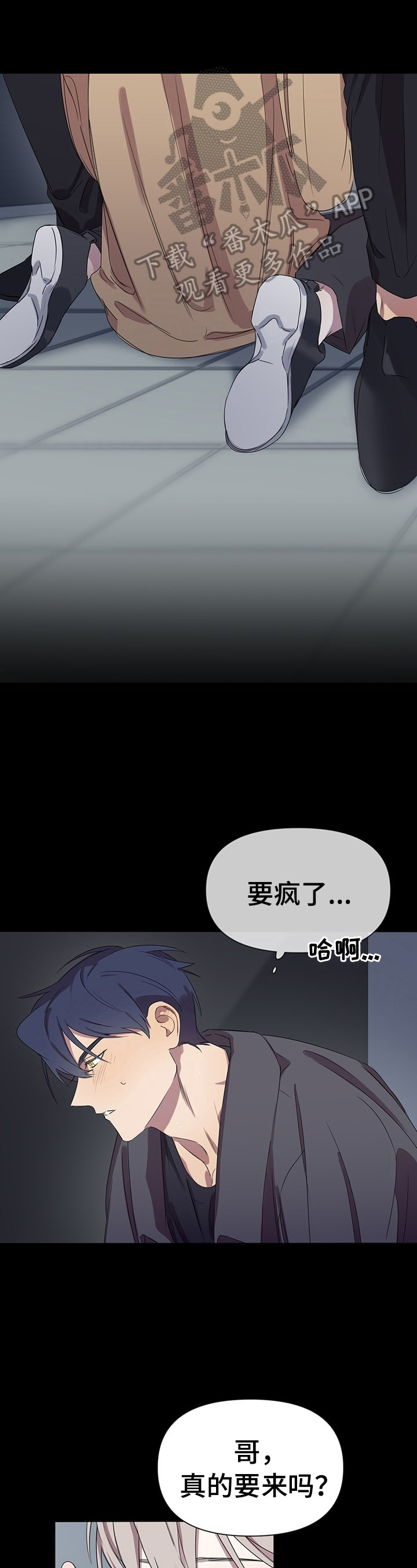第4章：感觉0