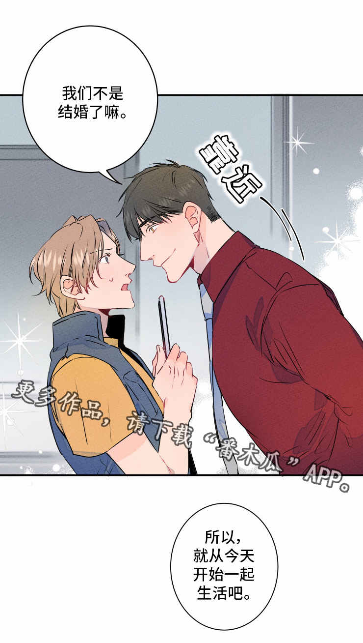 结婚合法年龄漫画,第4章：合约5图