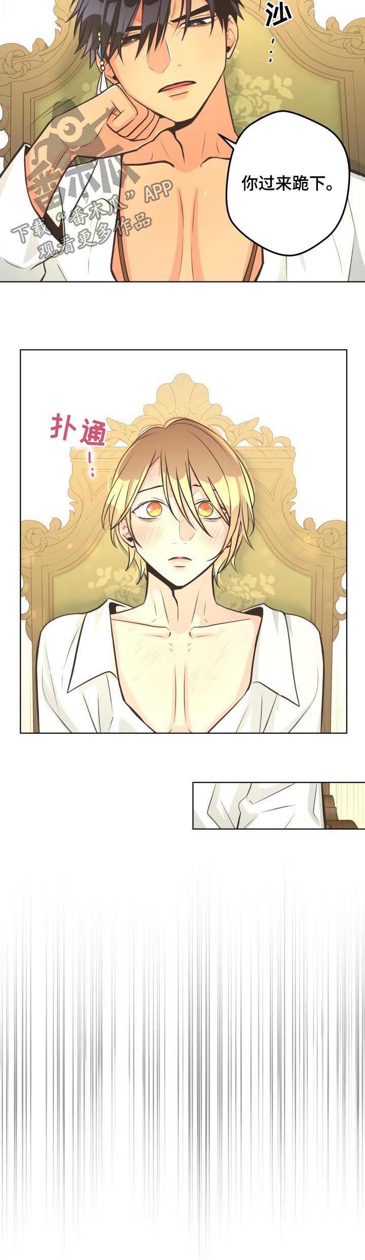 比索洛尔片的作用与功效漫画,第45章：一起吃饭4图