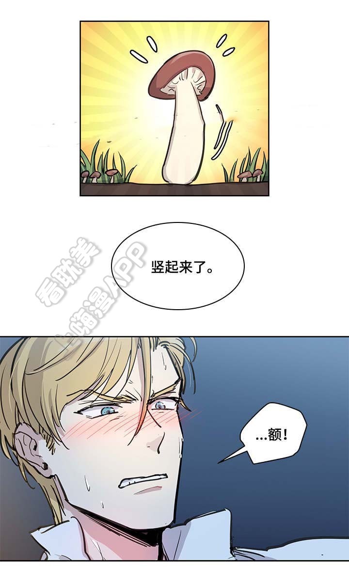 如何成为公爵夫人原版动漫漫画,第18话2图
