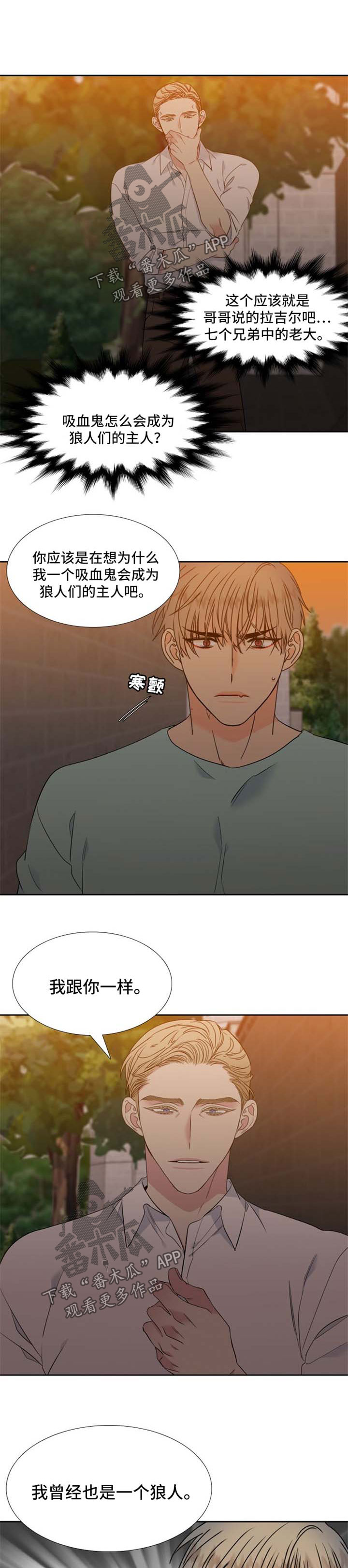 狼的香气韩漫漫画,第183章：【第二季】落下风1图