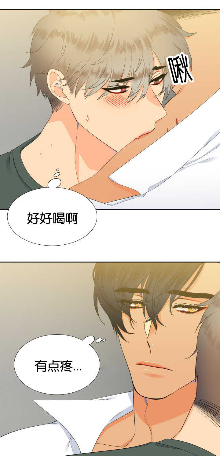 狼的香气完结漫画,第19章：集中精神1图