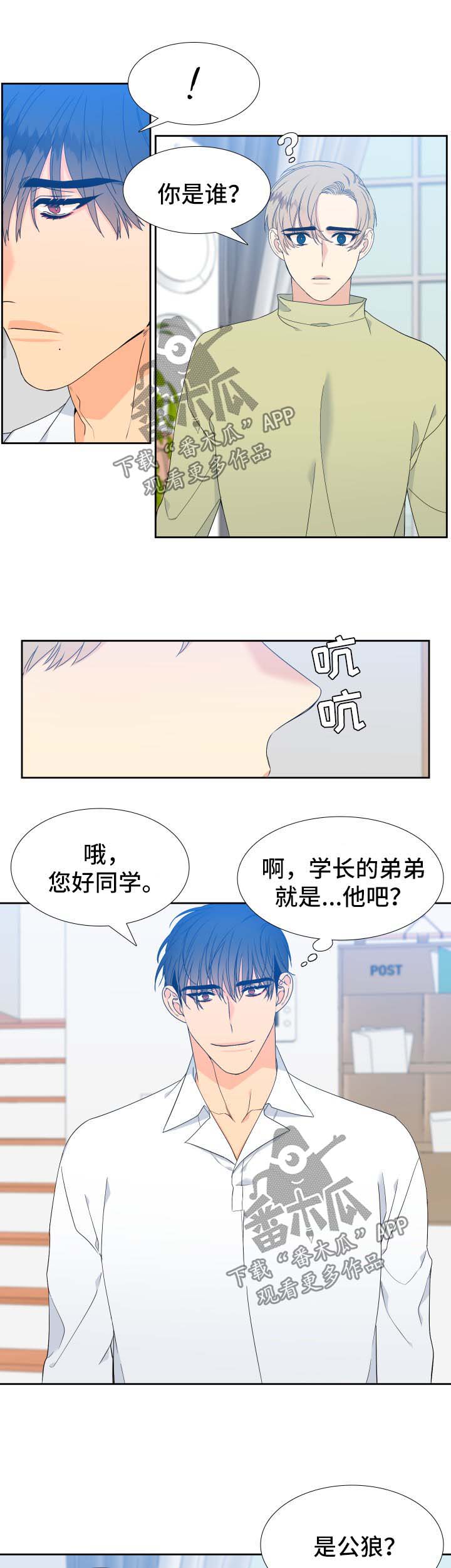 狼的香气/血缘纽带漫画下拉式漫画,第139章：【第二季】只有我能叫哥2图