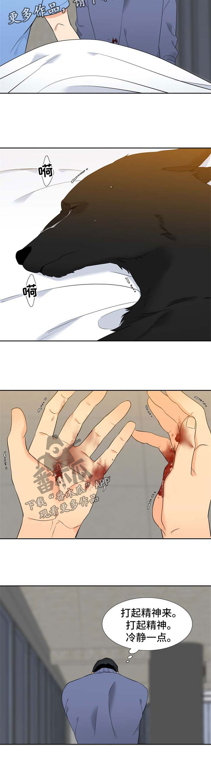 狼的香气1-2季完结漫画,第197章：【第二季】生产5图