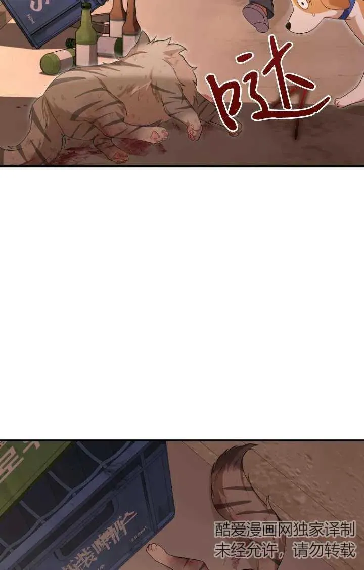 兽医先生你好小说哪里看漫画,第13话2图