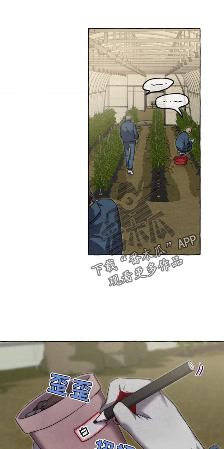 囚狱宠儿漫画更新时间漫画,第80话1图