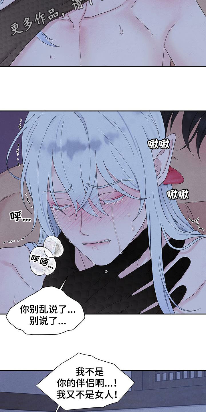 花池围栏砖砌墙图案漫画,第17话2图