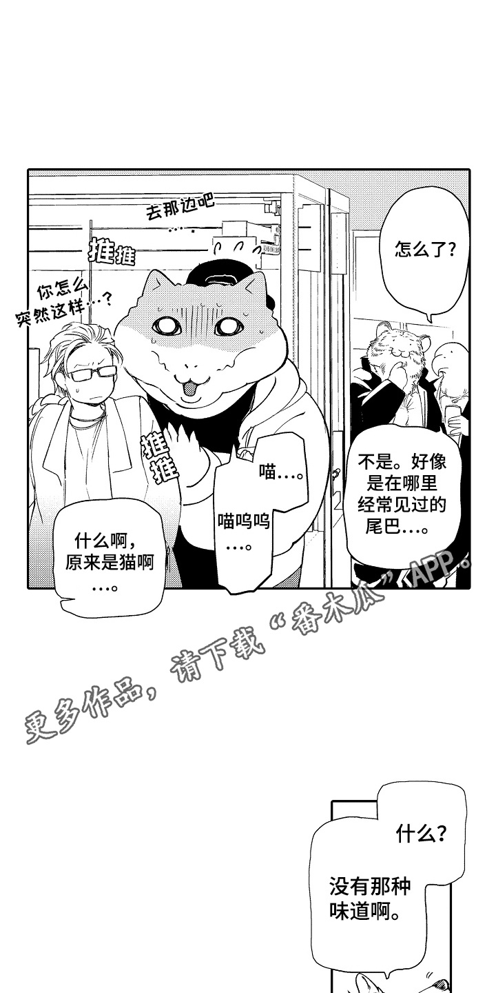 我的宠兽超级凶txt棉花糖漫画,第14话4图
