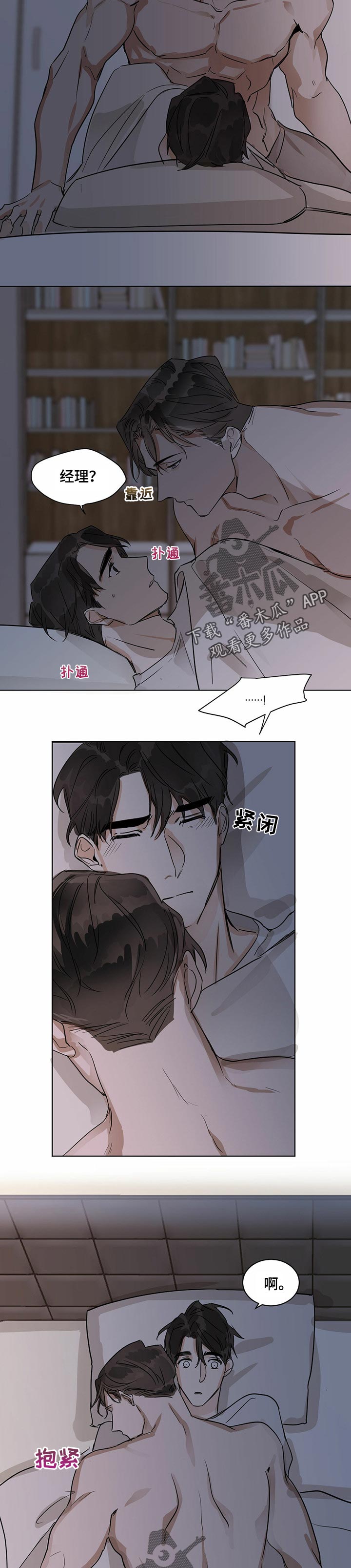 第20章：期望的答案2