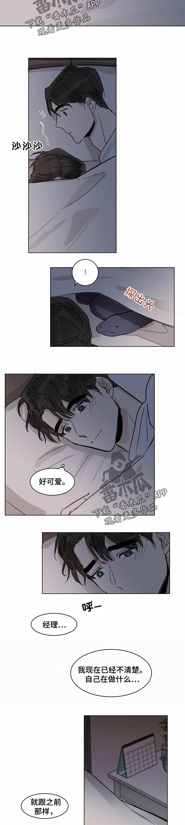 第20章：期望的答案4